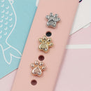 Decoración para Correas