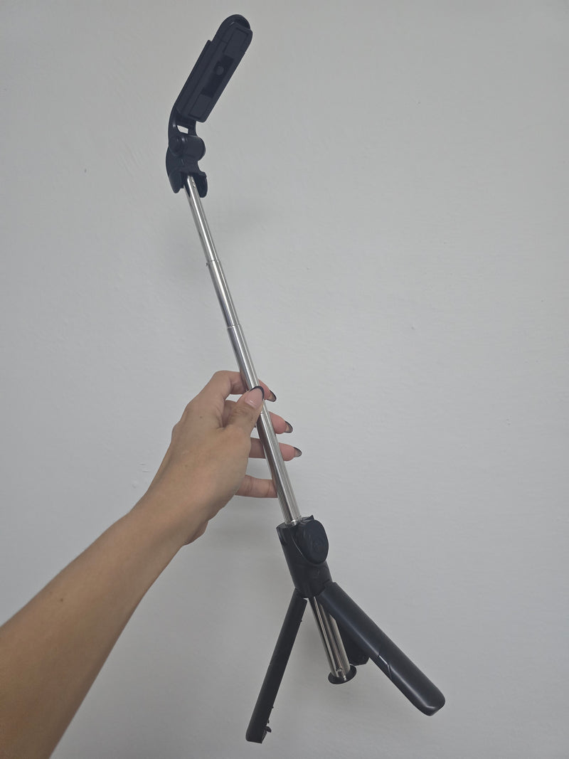 Selfie stick